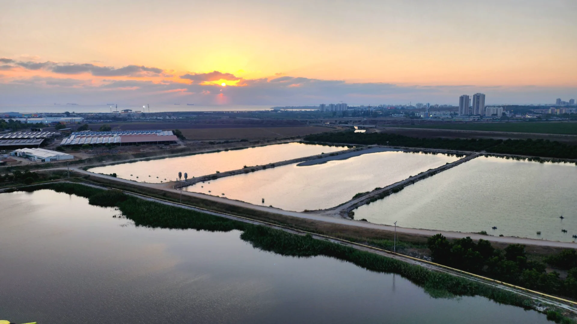 20230824_190024-scaled